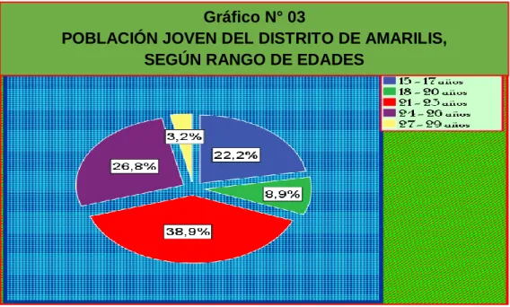 Gráfico N° 03 