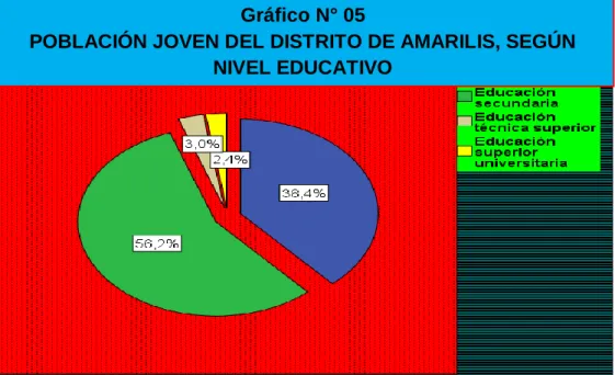 Gráfico N° 05 