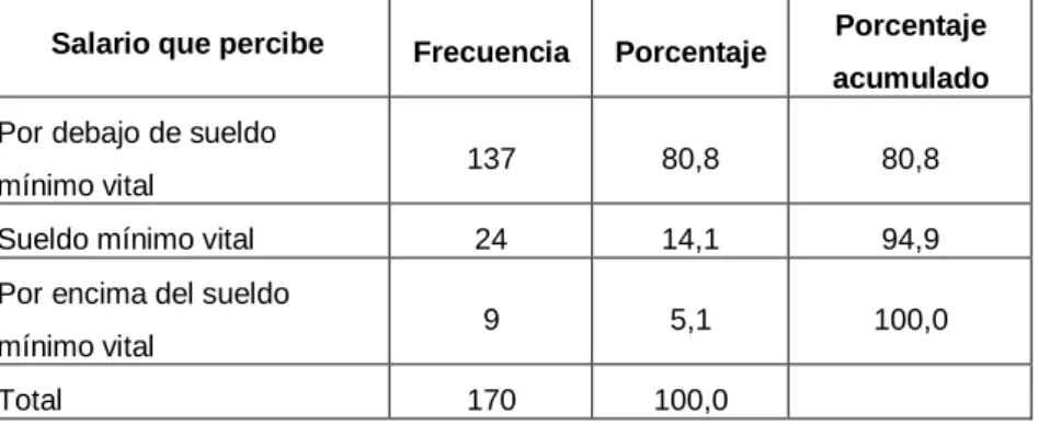 Gráfico N° 13 