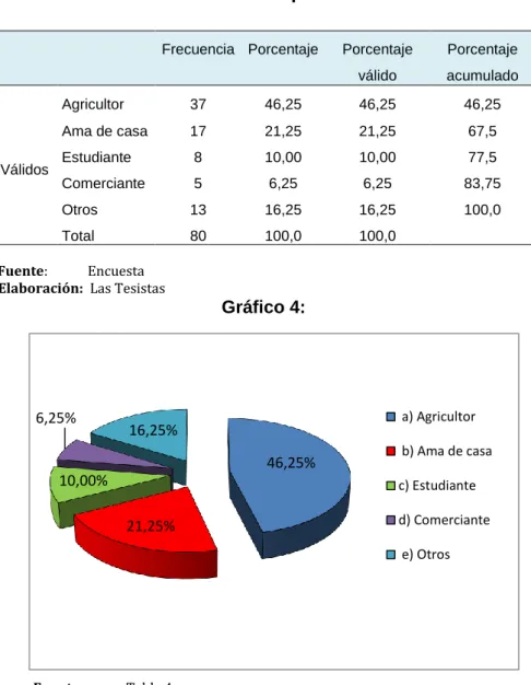 Tabla 4: Ocupación 
