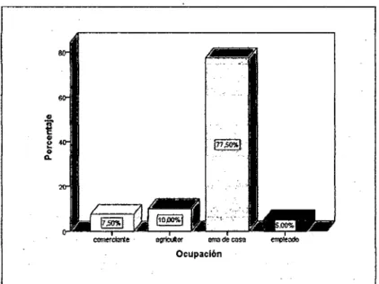 Figura N°  1 - E.  Muestra en estudio según Ocupación - HRHV- HRHV-Huánuco -2015. 