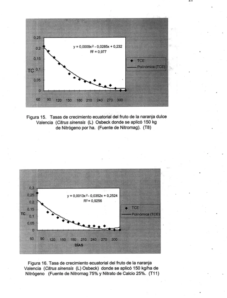 Figura 15. Tasas de crecimiento ecuatorial del fruto de la naranja dulce Valencia  (Citrus sinensis  (L) Osbeck donde se aplicó 150 kg