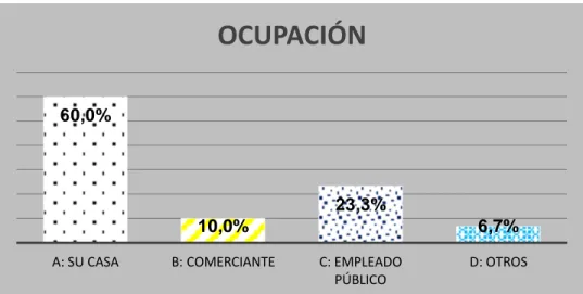 Gráfico 4: Ocupación de la muestra con Insuficiencia Renal Aguda que acuden al Hospital Regional  Hermilio Valdizán Medrano – Huánuco, 2016 