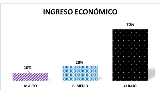 Gráfico 6: Ingreso Económico de la muestra con Insuficiencia Renal Aguda que acuden al Hospital  Regional Hermilio Valdizán Medrano – Huánuco, 2016