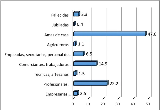 Figura 9: Grupos ocupacionales de la madre. 