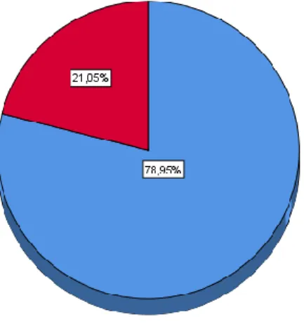 GRÁFICO N° 04 
