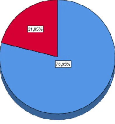 GRÁFICO N° 09 