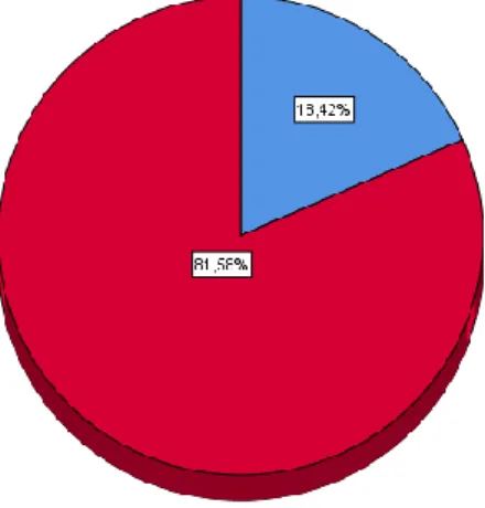 GRÁFICO N° 10 