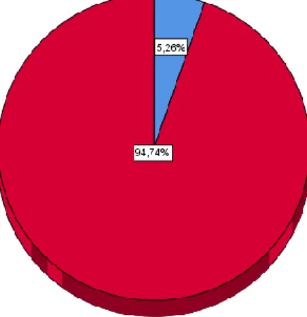 GRÁFICO N° 11 