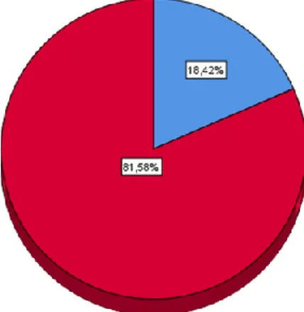 GRÁFICO N° 12 