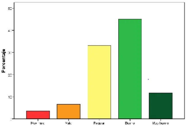 Fig. 22. Solución al problema de salud por el cual  asistieron al servicio de urgencias 