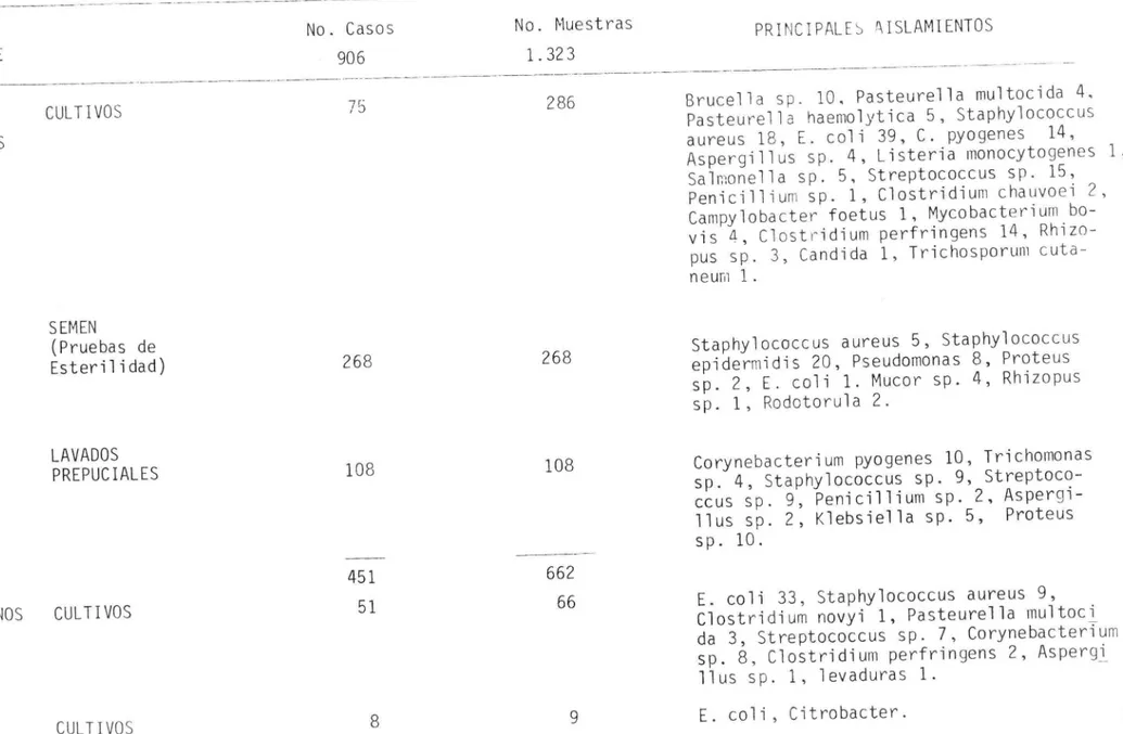 TABLA 6.- RELACION DE CASOS DIAGNOSTICOS PROCESADOS EN 1984 EN EL LABORATORIO DE BACTERIOLOGIA.