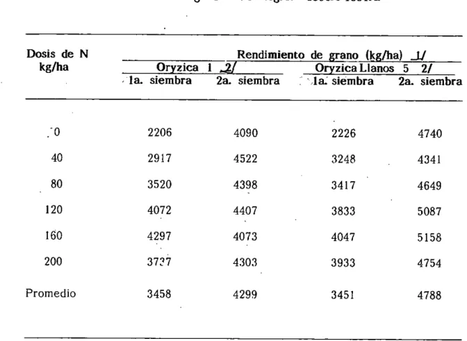 TABLA 210. -Efecto de la rotación arroz-soya en  Oryzica Llanos 5 y Oryzica 1 en suelos de vega del Río Negro