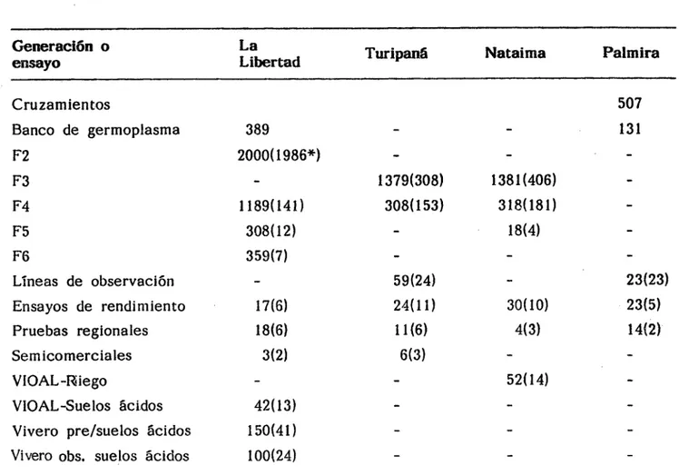 TABLA 4. Poblaciones y lineas evaluadas y seleccionadas en arroz, 1990.