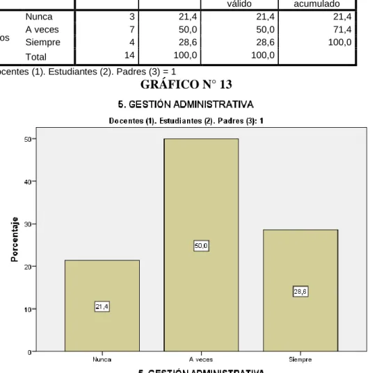 GRÁFICO N° 13 