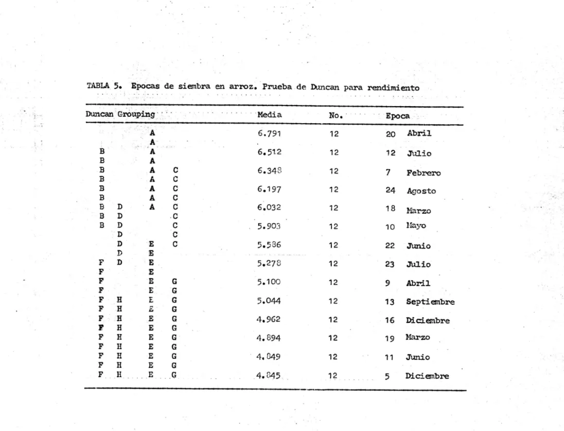 TABLA  5.  Epocas de siembra en arroz. Prueba de Duncan para rendimiento Dimean Groupin	MediaNo