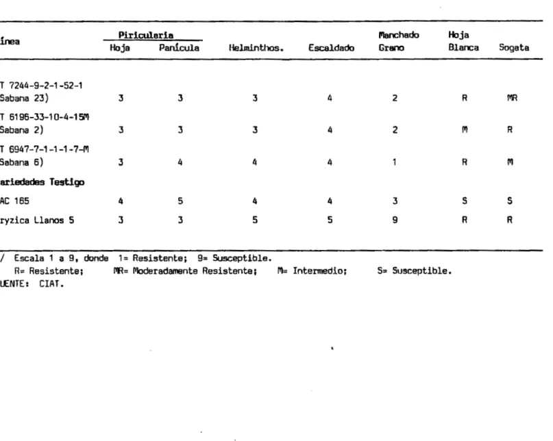 TABLA 7. Reacción a enfermedades y plagas de las llnes promisorias para la Altillanura, 1990 1/.LineaCT7244-9-2-1-52-1(Sabana23)CT6196-33-10-4-15PI(Sabana2)CT6947-7-1-1-1-7-N(Sabana6)VariedadesTestigoIAC165