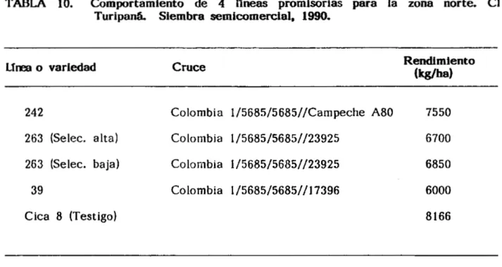 TABLA 10. Comportamiento de 4 líneas promisorias para la zona norte. CITuripaná.Siembrasemicomercial,1990.