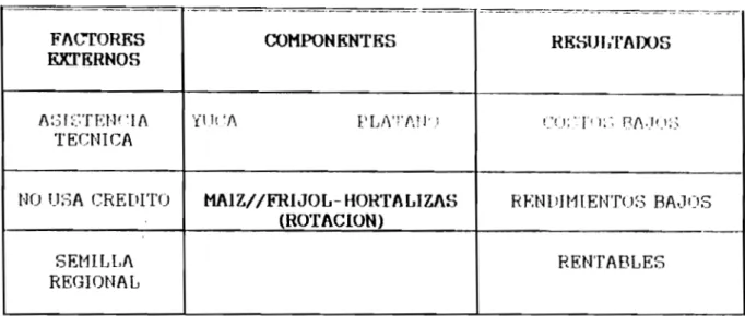 FIGURA 4. COMPONENTE PRINCIPAL Y COMPLEMENTARIOS DEL SISTEMA MAIZ//FRIJOL-HORTALIZAS.MUNICIPIO DE DAGUA