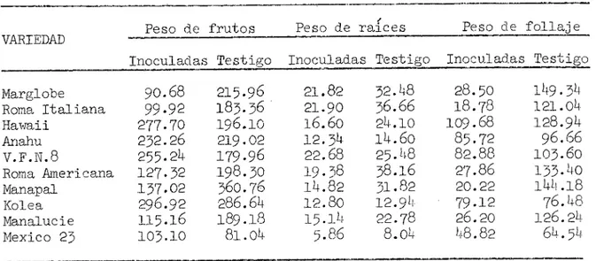 Tabla  2. -  Promedio total de peso Çen gramos) obtenido en frutos, racs y follaje en una evaluacion de la resistencia de material  geneti-co de tomate al ataque de Meloidogyne sp