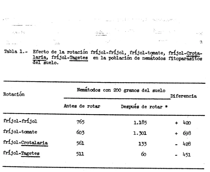 Tabla 1.- Efecto de la rotacin fríjol-fríjol, fríjol-tnate, ±'ríjol-crota-