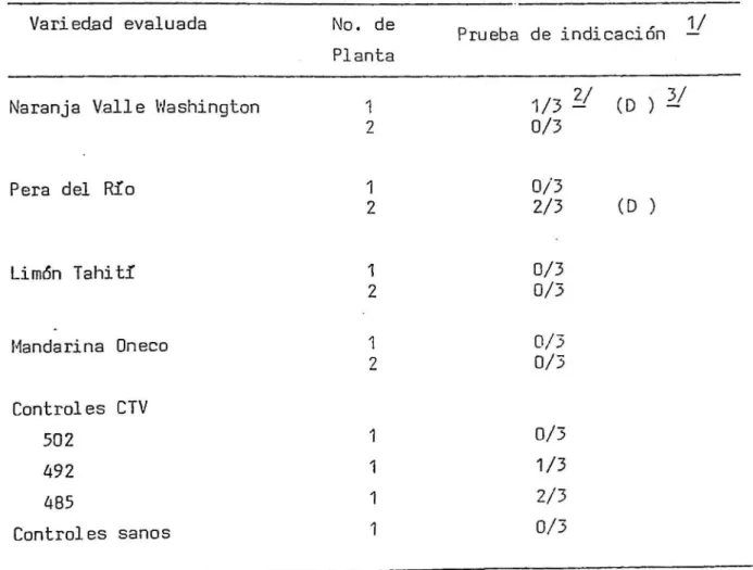 TABLA  19.  EVALUACION  DEL  VIRUS  DE  LA  TRISTEZA  DE  LOS  CITRICOS  (CTV)  EN  ¡-1ATERIALES  OBTENIDOS  POR  InCROH!JERTACION