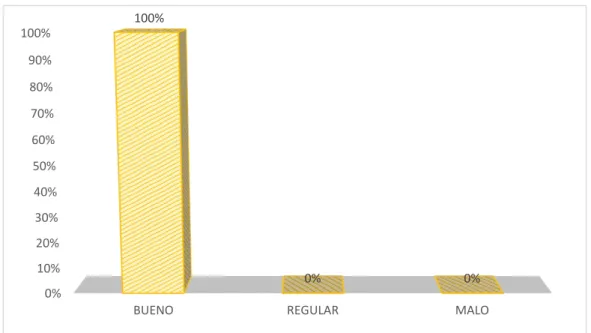 GRÁFICO N° 004 