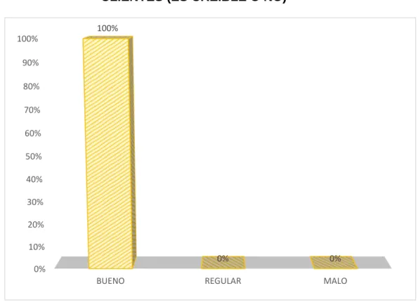 GRÁFICO N° 009 