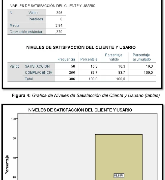 Figura 5: Grafica de Niveles de Satisfacción del Cliente y Usuario (barras) 
