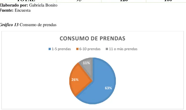 Gráfico 13 Consumo de prendas 