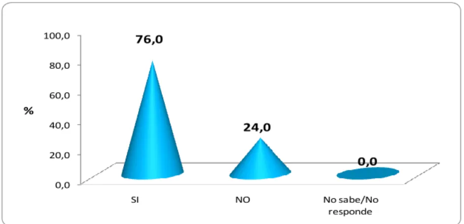 Gráfico N° 0 6  