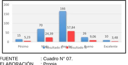 GRÁFICO Nº 07 