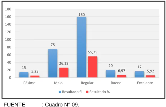 GRÁFICO Nº 09 