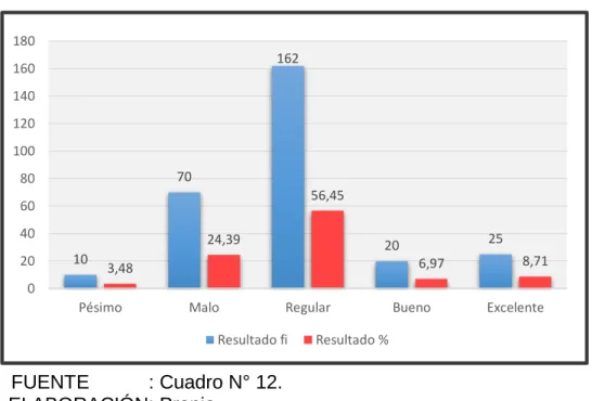 GRÁFICO N° 12 