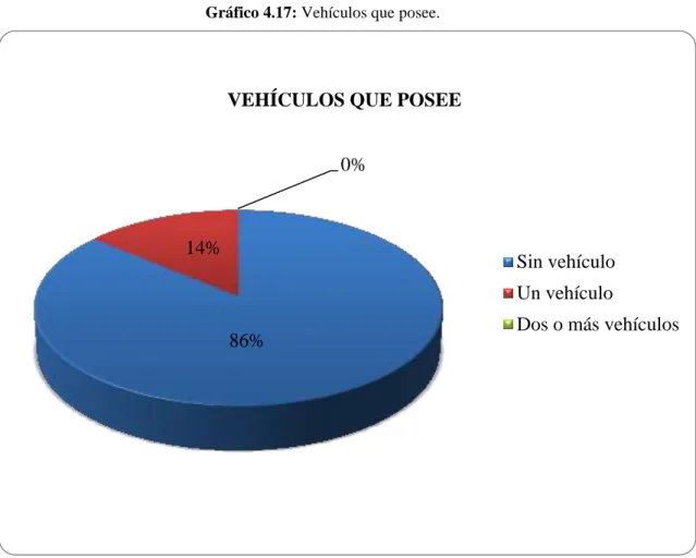 Gráfico 4.17: Vehículos que posee. 