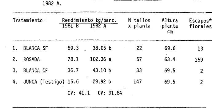TABLA 23. Rendimientos promedios y otras caracteristicas de .tres (3) clones de cebolla junca