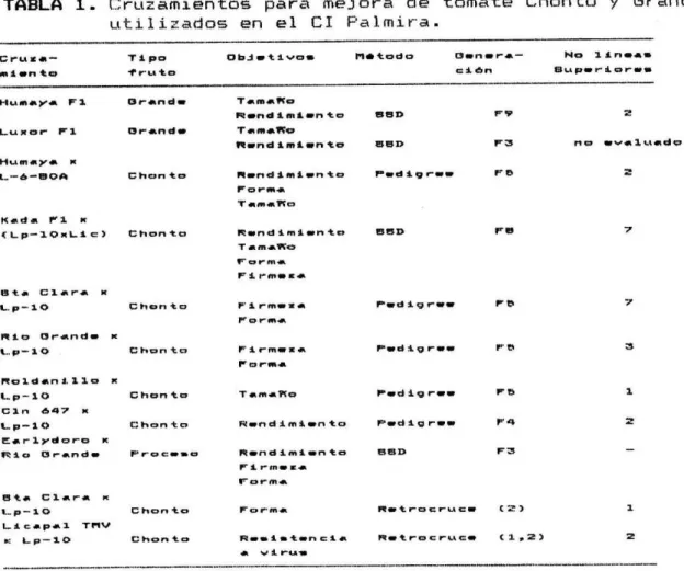 TABLA 1. Cruzamientos para mejora de tomate Chanto y Grande utilizados en el Cl Palmira.