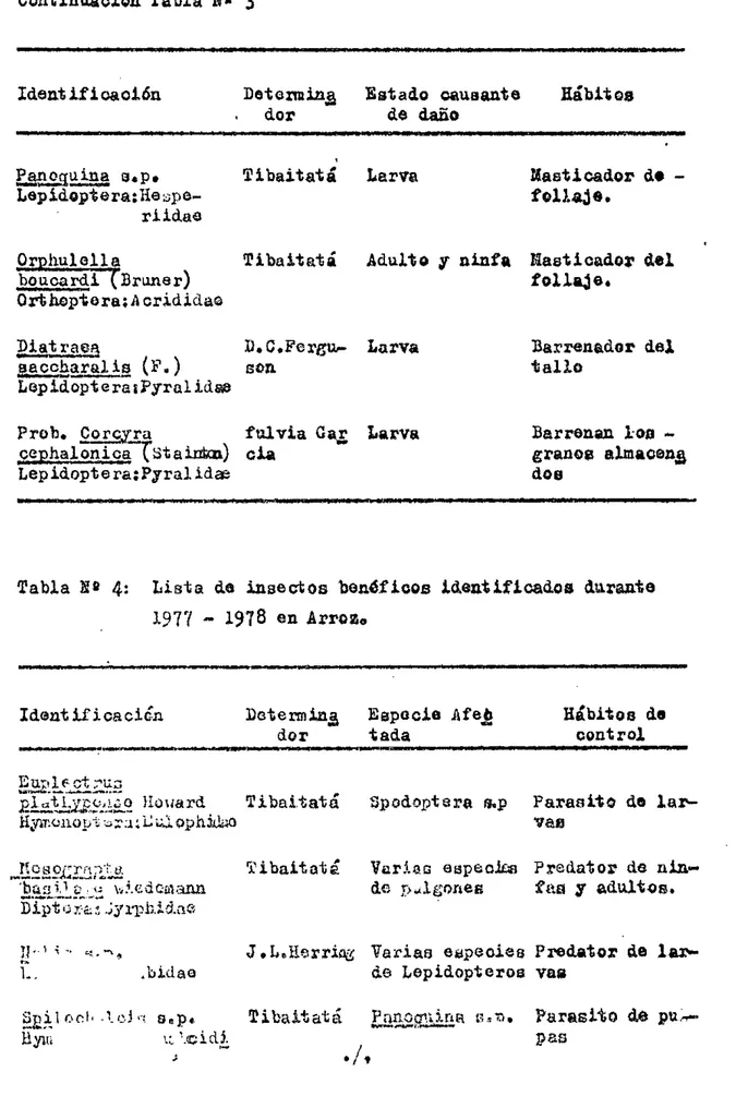 Tabla  fl  4: Lista de insectos benéficos identificados durante 1,9 77	 1978 en Arroz,