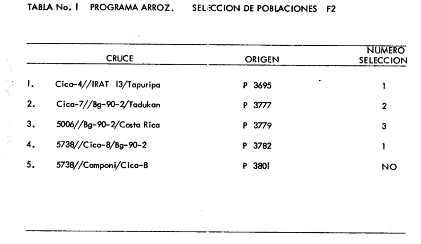 TABLA No. 1 PROGRAMA ARROZ.	SELECCION DE POBLACIONES F2