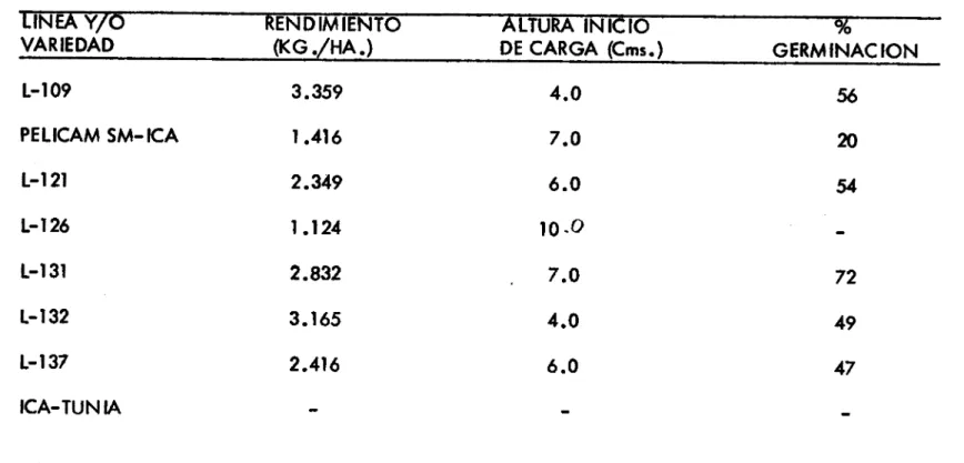 TABLA No. 5	RENDIMIENTO DE LINEAS Y VARIEDADES DE SOYA PALMIRA. NATAIMA 82 A