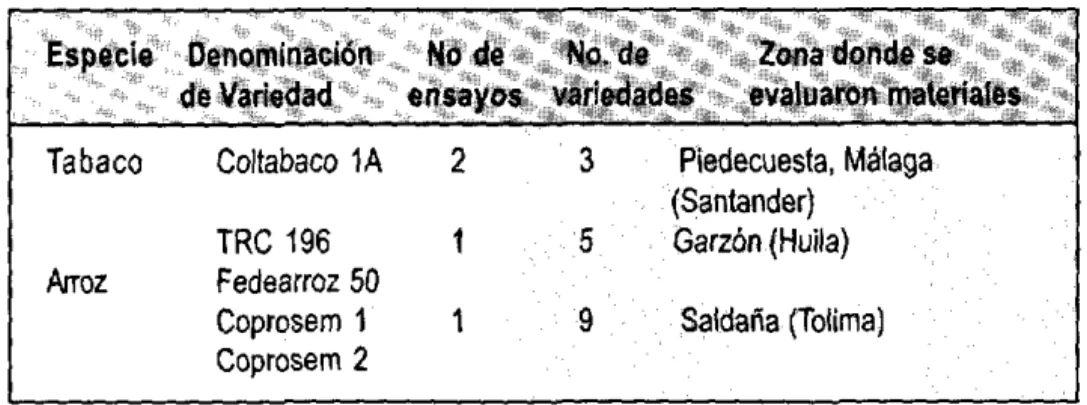 TABLA  4.  Pruebas  de  identificación varietal  en campo realizadas en 1997 