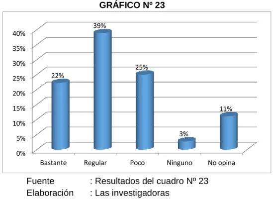 GRÁFICO Nº 23 