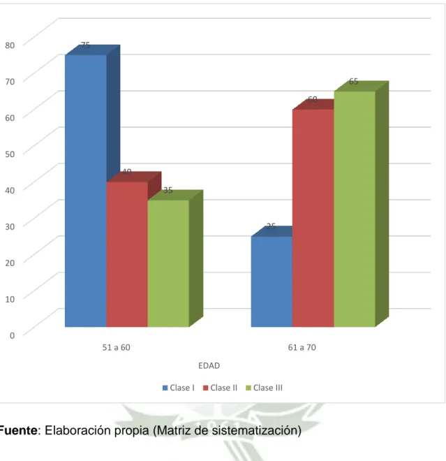 GRÁFICO Nº 1 