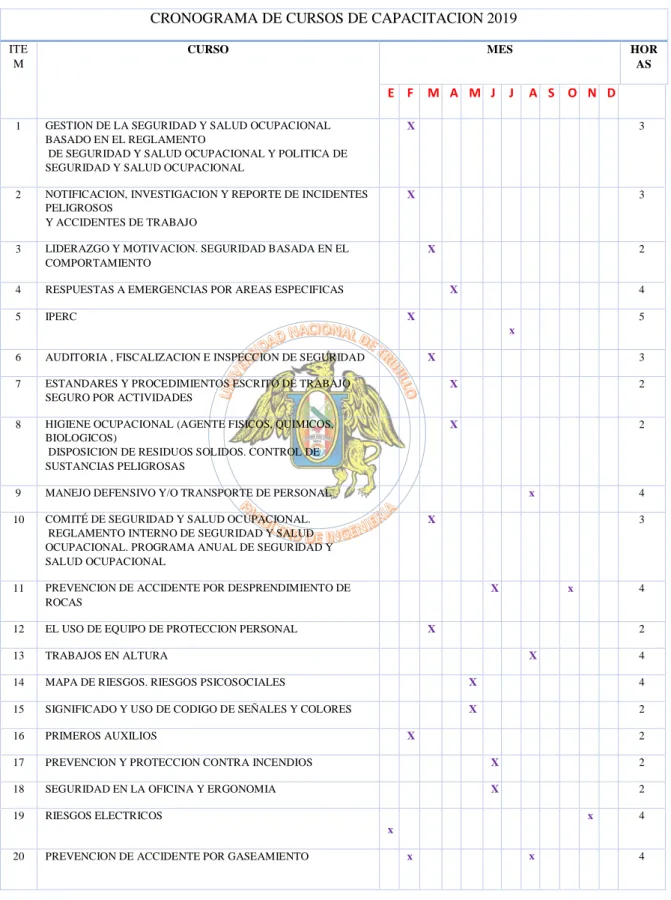 Tabla  8. Programación de capacitaciones para el año 2019 en la empresa TMSI E.I.R.L. 
