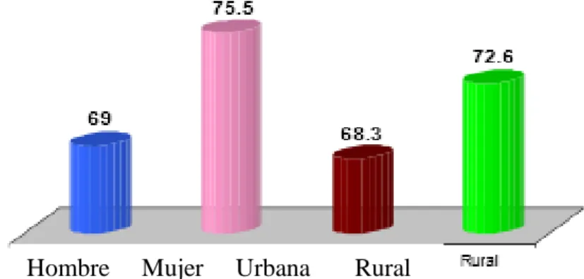GRÁFICO Nº 08 