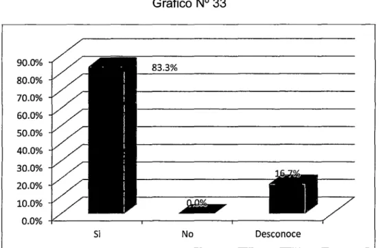 Gráfico N° 33 