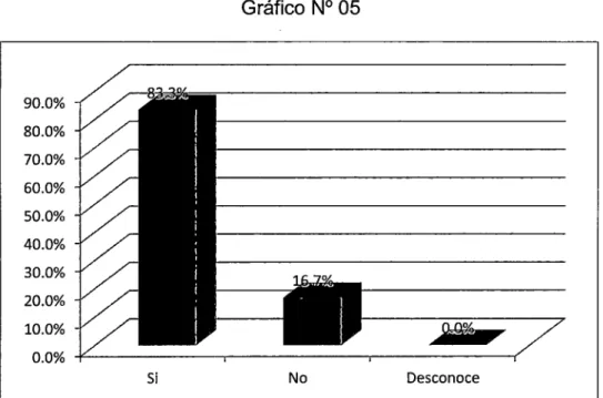 Gráfico N° 05 