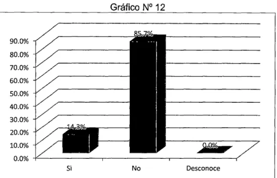 Gráfico N°  12  90.0%  80.0%  70.0%  60.0%  50.0%  40.0%  30.0%  20.0%  10.0%  0.0%  Si  No  Desconoce 