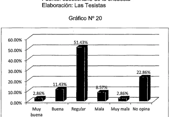 Gráfico N° 20 