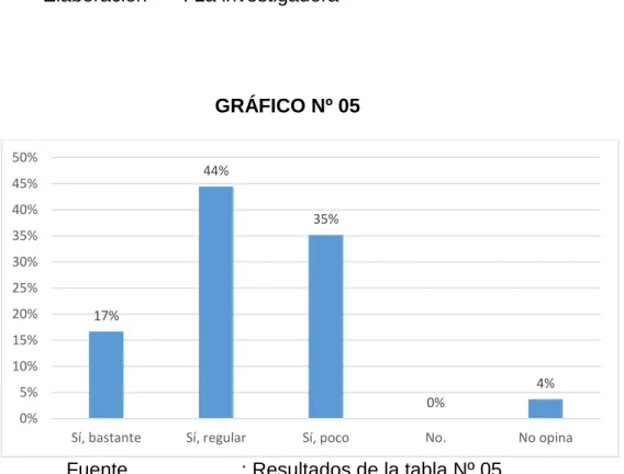 GRÁFICO Nº 05 